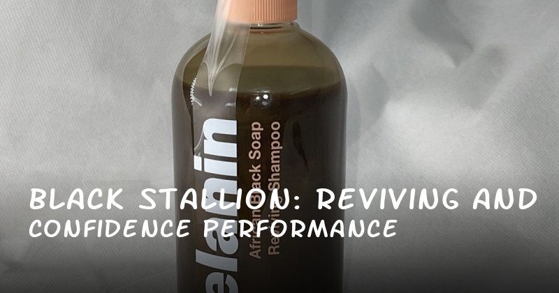 Black Stallion: Reviving Confidence and Performance