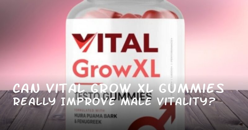 Can Vital Grow XL Gummies Really Improve Male Vitality?