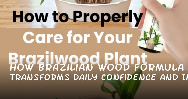 How Brazilian Wood Formula Transforms Daily Confidence and Intimacy
