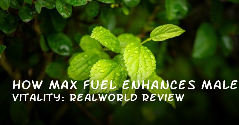 How Max Fuel Enhances Male Vitality: A RealWorld Review