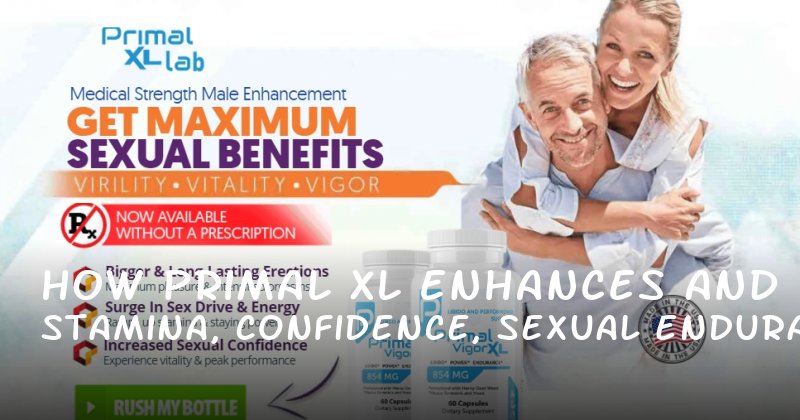 How Primal XL Enhances Stamina, Confidence, and Sexual Endurance