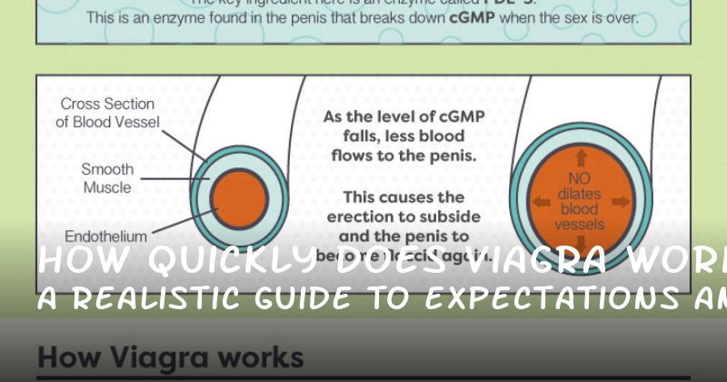 How Quickly Does Viagra Work? A Realistic Guide to Expectations and Results