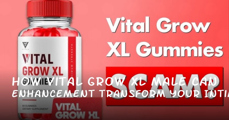 How Vital Grow XL Male Enhancement Can Transform Your Intimacy