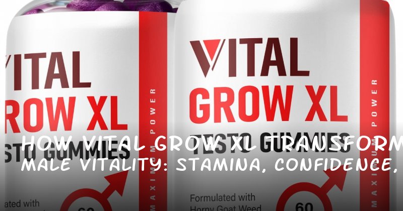 How Vital Grow XL Transforms Male Vitality: Stamina, Confidence, and Lasting Performance