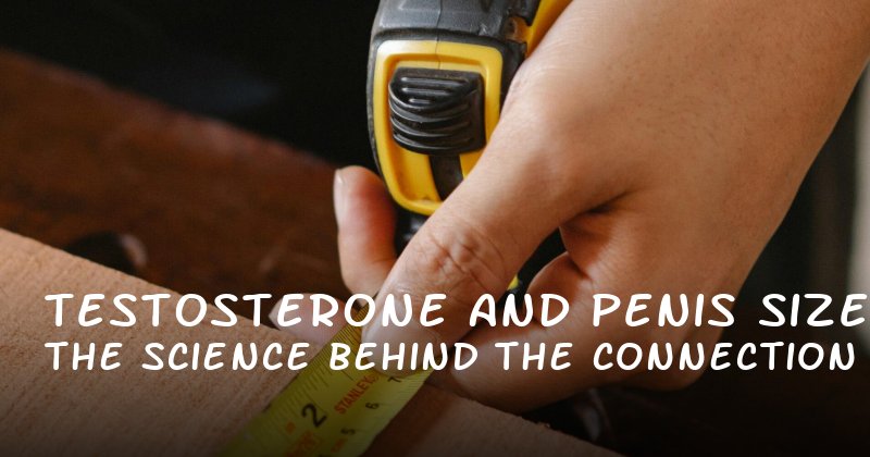 Testosterone and Penis Size: The Science Behind the Connection