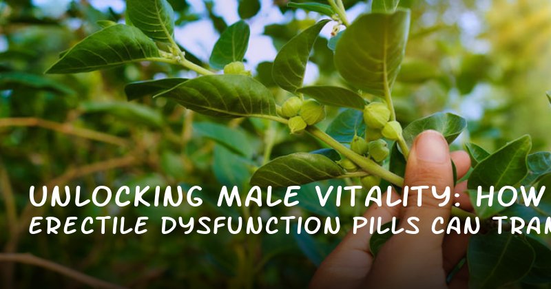 Unlocking Male Vitality: How Erectile Dysfunction Pills Can Transform Your Sexual Health