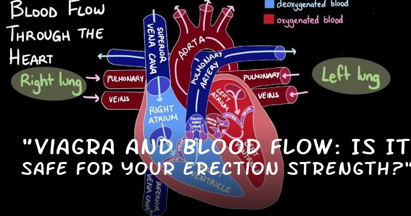 "Viagra and Blood Flow: Is It Safe for Your Erection Strength?"