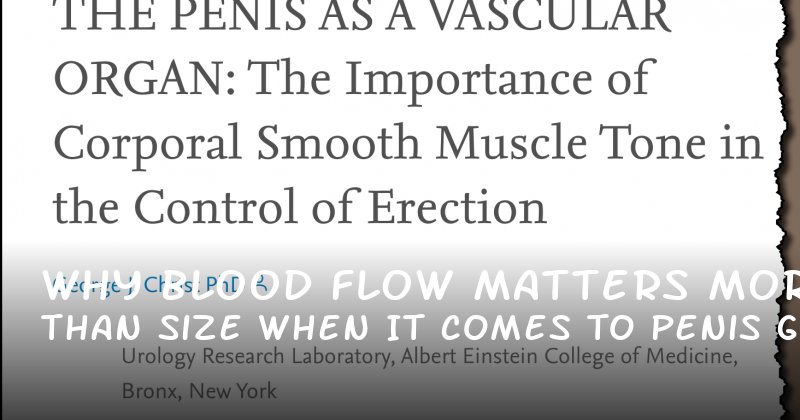 Why Blood Flow Matters More Than Size When It Comes to Penis Growth