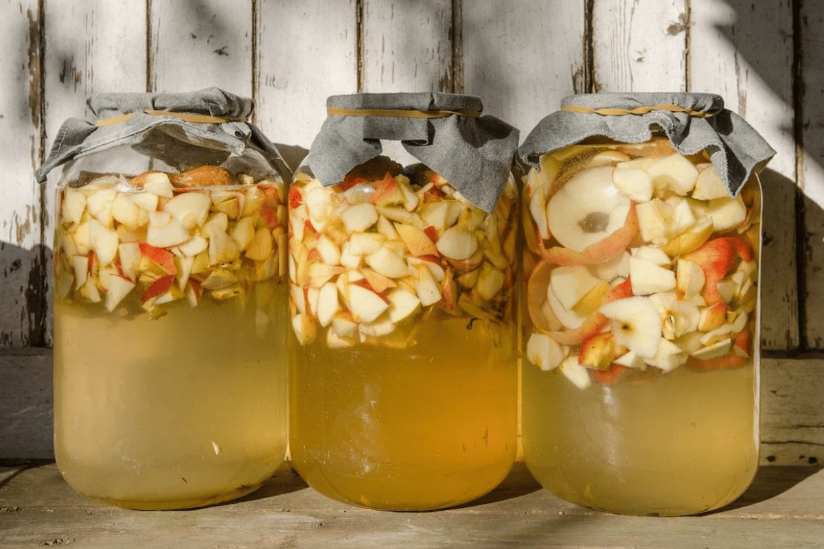 apple cider vinegar weight loss recipe