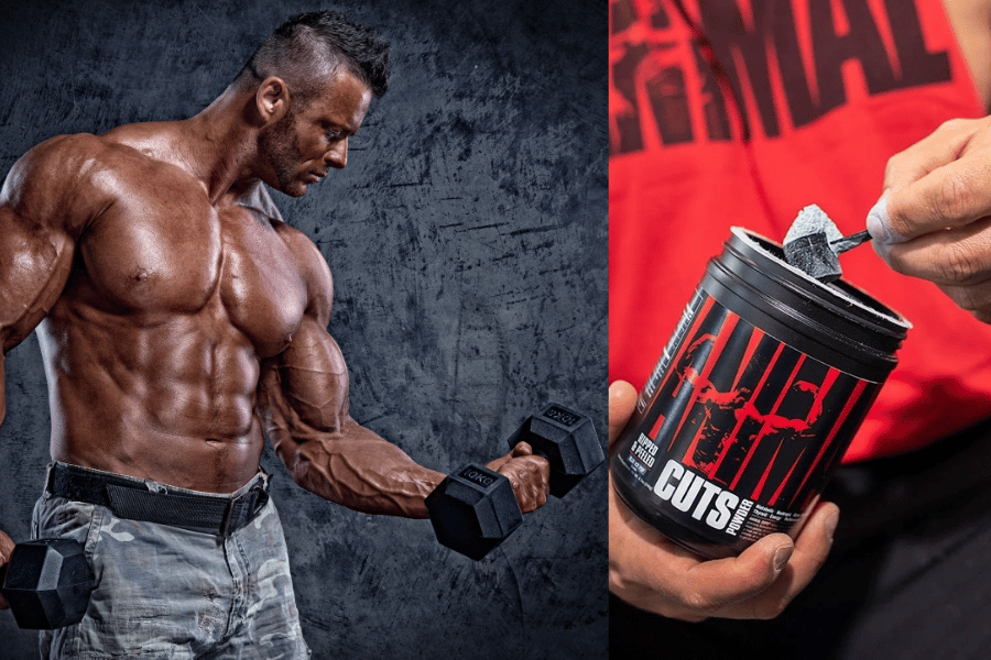 l carnitine heart palpitations reddit l-Carnitine and disease Animal Cuts Fat Burner Uncovered:
