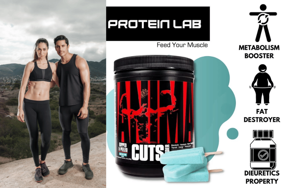 l carnitine nootropic reddit Best Nootropics: Boost Focus, Memory, and Learning [2026] My addiction recovery toolbox :