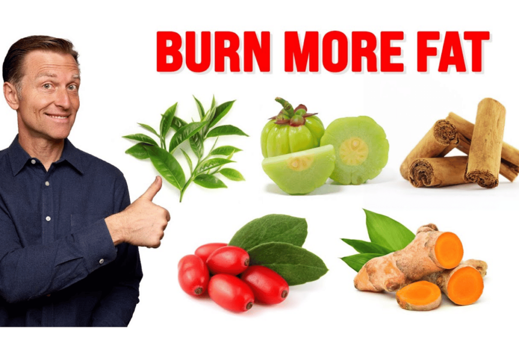 herbal belly fat burner