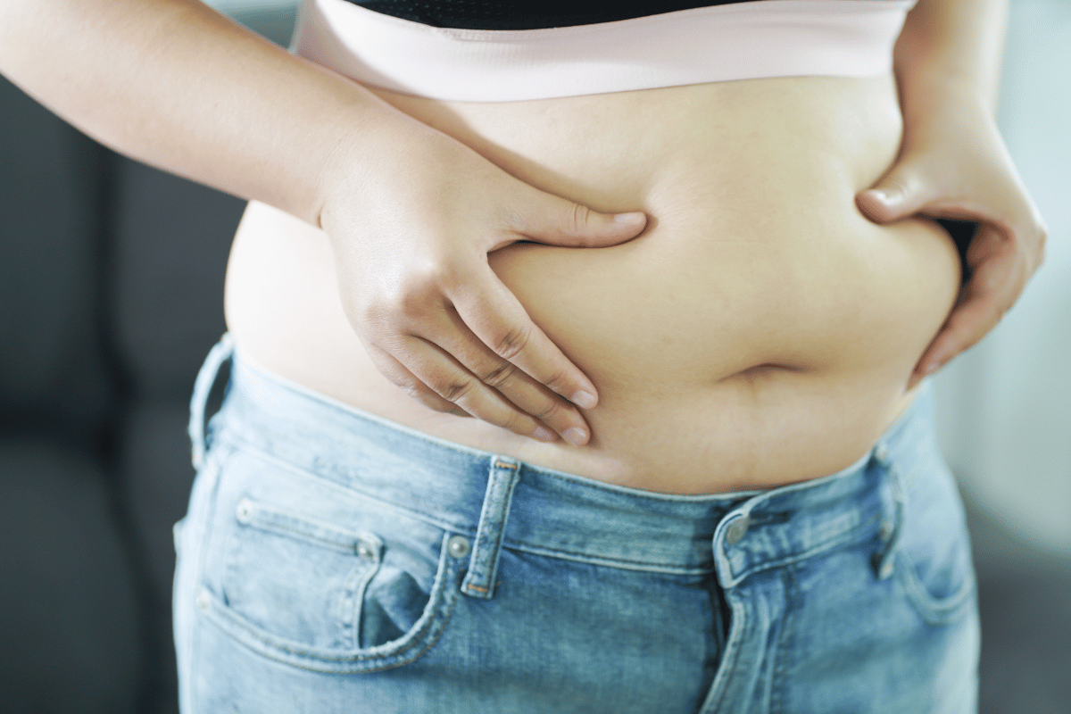 menopause belly fat diet plan