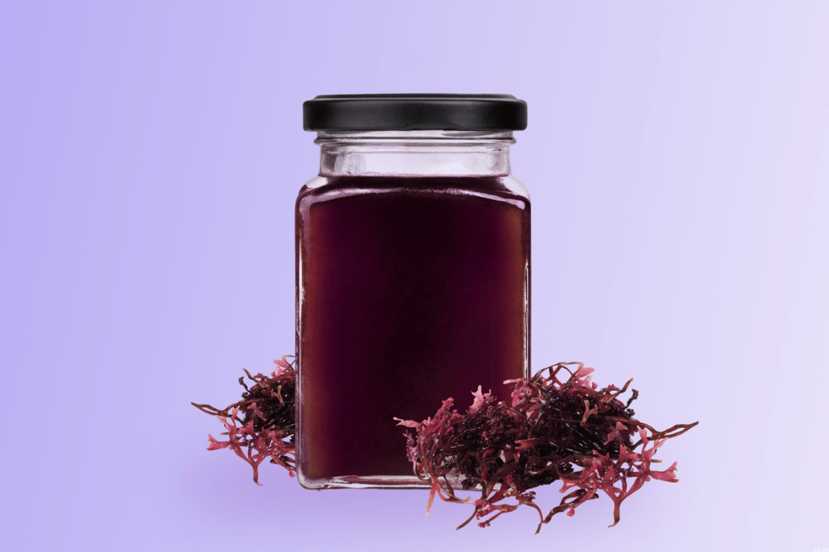 ocean moss fat burning tea