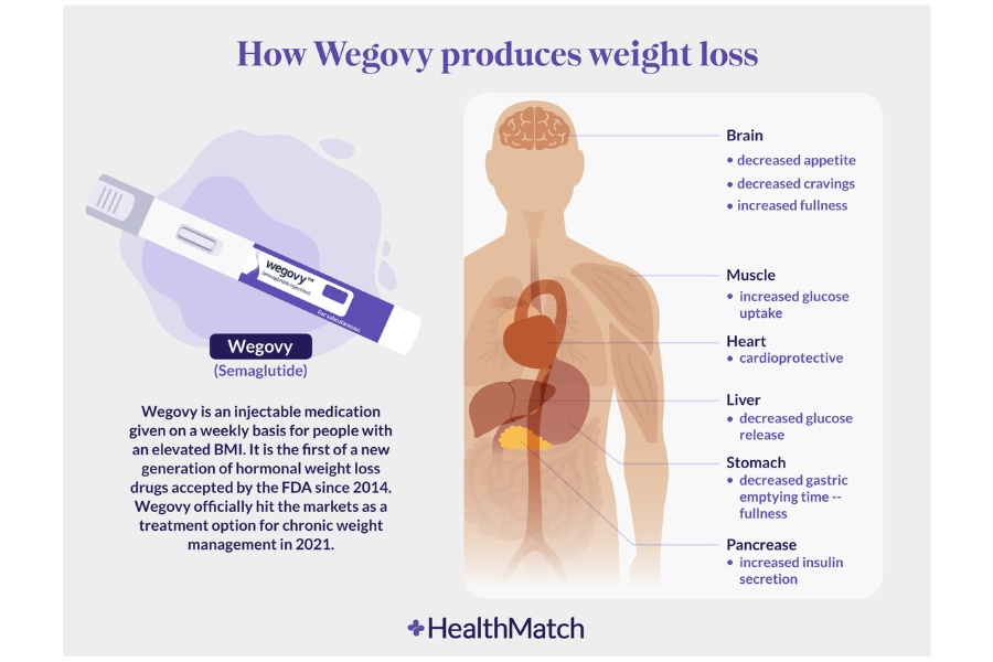 increased appetite on semaglutide How Long for to Suppress Appetite? Everything About: Semaglutide Injection for