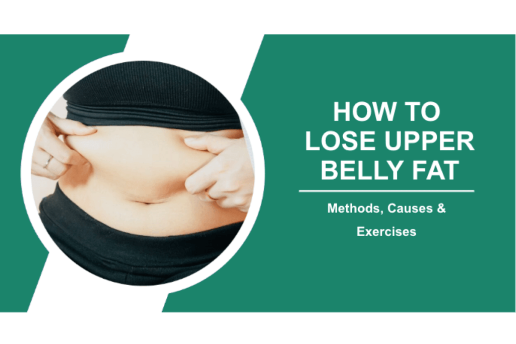 upper belly fat