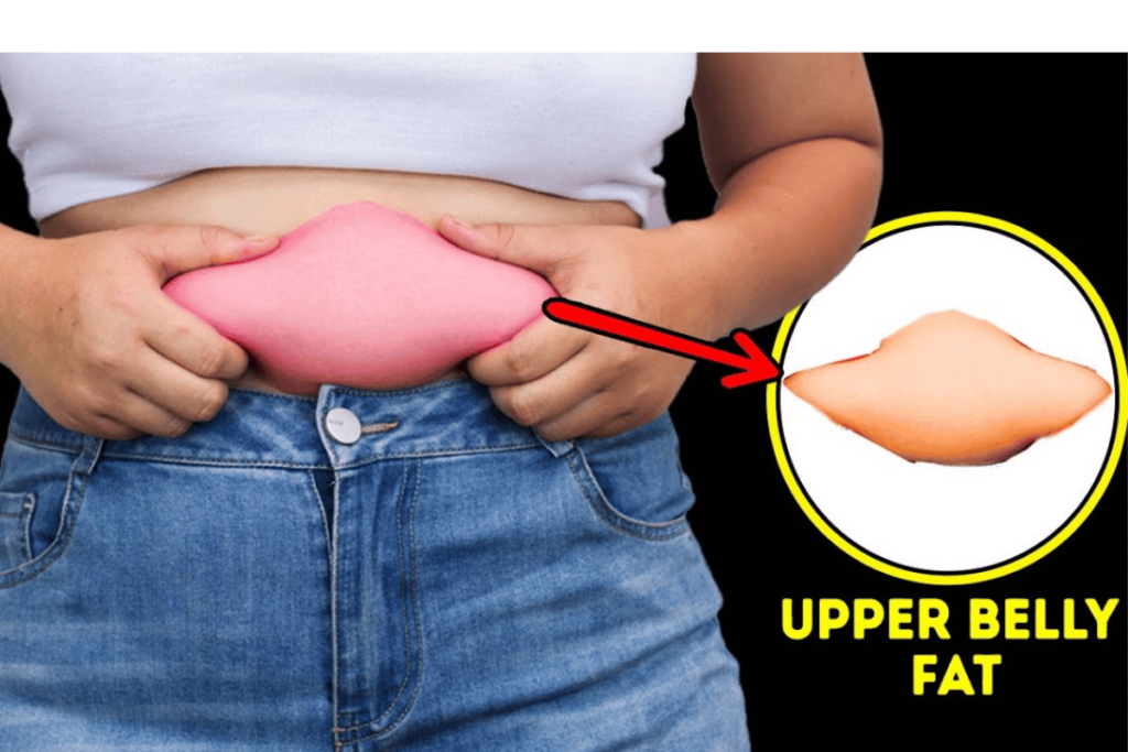upper belly fat