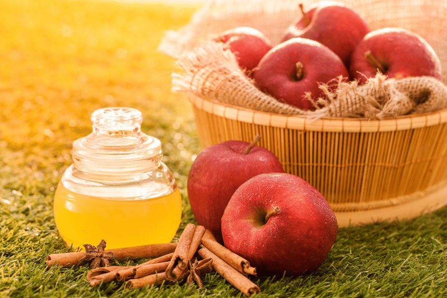 vinegar and cider weight loss