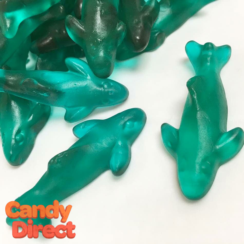 gummy dolphins
