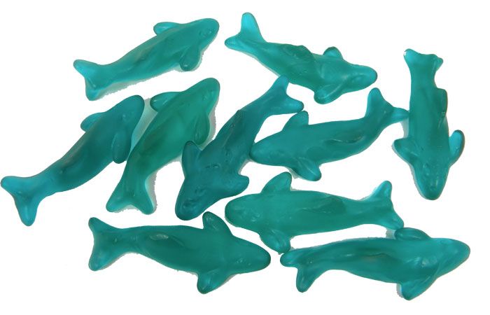 gummy dolphins