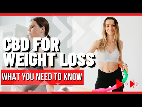 impact keto +acv gummies