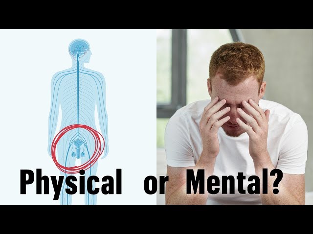 King Cobra CBD Gummies Male Enhancement Reviews – Male Enhancement Pills to  boost stamina! | TechPlanet