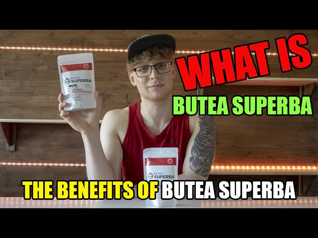 Primal Beast Male Enhancement Gummies<br>