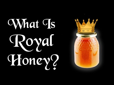 Erectifil ME Gummies Reviews: #1 Voted Male Enhancement Formula